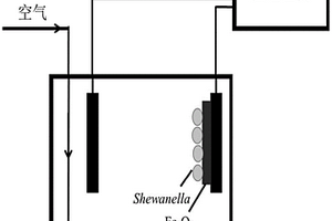Shewanella驱动电芬顿反应处理高浓度工业污水的方法