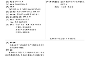 从废水处理厂的污泥中生产生物柴油和其它有价值的化学物质