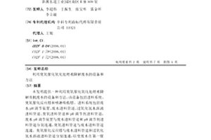 利用臭氧催化氧化处理难降解废水的设备和方法