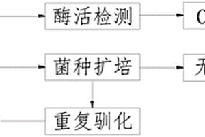 用于造纸制剂废水处理的解淀粉芽孢杆菌及制备方法