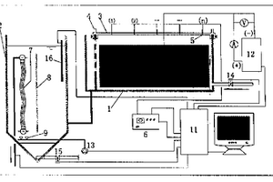 具有电位测控功能的三维电极-膜反应器