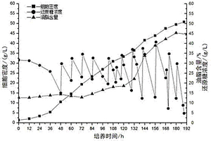 培养高密度油脂微藻处理酵母工业废水的方法