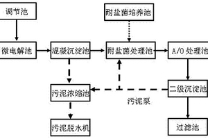 处理高盐、难生物降解、有毒的工业废水处理装置及工艺