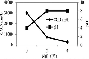 用于处理高盐工业废水的微生物菌群