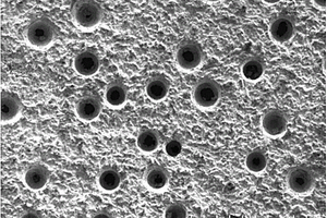 用于有机工业废水深度处理的多孔PbO2电极的制备方法
