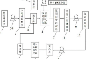 工业废水中高浓度COD的连续式处理系统及处理工艺