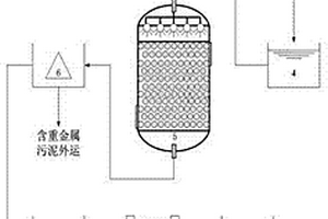 工业废水中重金属的去除系统