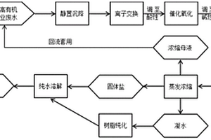 高盐高有机物工业废水的处理方法