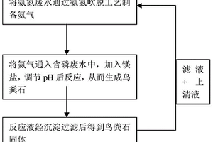 利用氨氮废水和含磷废水回收氮磷的处理方法