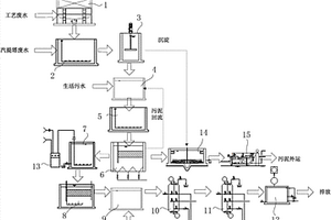 生活污水、工艺废水、汽提塔废水集中处理装置