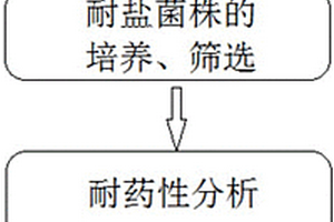 抗生素废水高效处理菌剂及其制备方法和应用