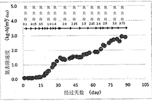 废水处理用厌氧氨氧化菌群保持用载体、厌氧氨氧化菌群附着体和使用该附着体的废水处理装置