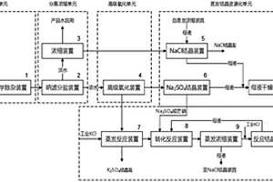 煤化工废水结晶盐资源化系统