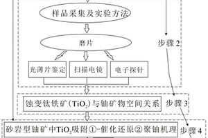 砂岩型铀矿中选取处理放射性含铀废水材料的方法