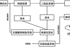 电催化氧化装置、煤化工企业废水零排放系统及工艺