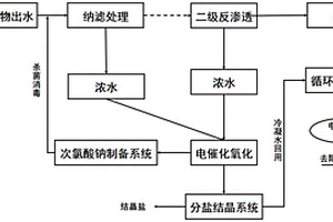 电催化氧化装置、煤化工企业废水零排放系统