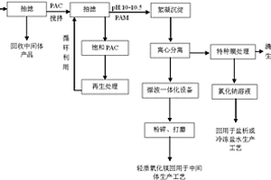 含镁高盐废水的资源化处理工艺