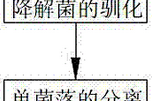 降解化工废水中苯酚的方法