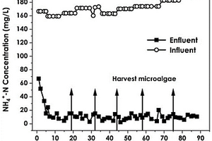 用于稀土废水的强适应型菌藻固定化体系的脱氮方法