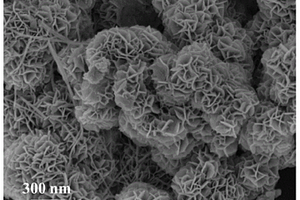 镍/锌-二氧化锰电极及其在废水处理上的应用