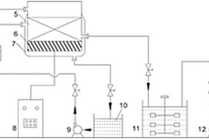 超声波/铁碳微电解-Fenton氧化法处理硝基苯废水的装置