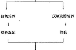 用于处理高难度废水的微生物制剂及其制备方法