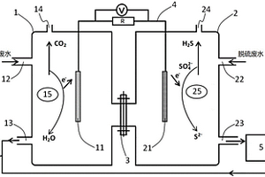 有机和脱硫废水微生物燃料电池协同处理方法及系统