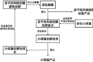 微生物发酵生产PUFA的废水循环再利用的方法