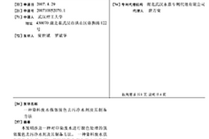 染料废水强效脱色去污净水剂及其制备方法