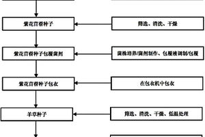 焦化废水污染土壤的生物修复方法