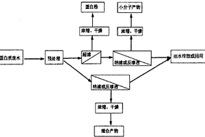 蛋白质废水的回收处理方法