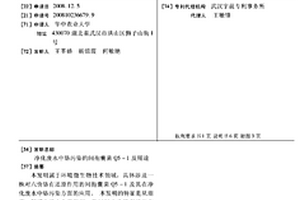 净化废水中铬污染的间孢囊菌Q5-1及用途