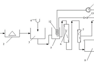维生素B2发酵过程废水的处理工艺及系统