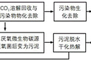 污（废）水处理工艺中二氧化碳回收利用固碳与废气处理耦合工艺