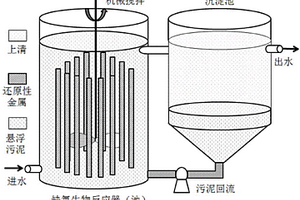 废水生物深度处理技术