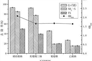 铜绿假单胞菌及应用其处理有机废水的方法