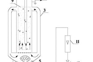 用于燃料乙醇生产废水的光催化环流反应方法与装置