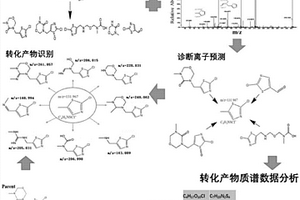 同时快速筛查废水中农药、药物及其转化产物的方法