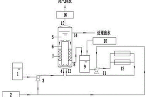 高盐废水难降解有机物深度去除装置和方法