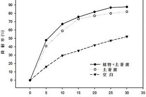 互花米草与微生物联合修复含油废水的方法