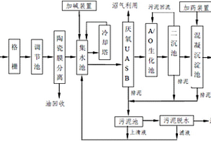 棕榈油废水处理装置及其方法