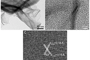 处理放射性废水的表面氧化的二硫化锡纳米片包裹碲纳米线的制备方法