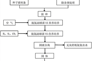 一株脱氮副球菌及用于高氨氮废水处理产单细胞蛋白的方法