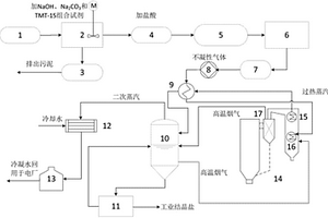 超超临界CFB锅炉脱硫废水零排放处理系统