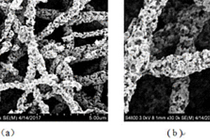 用于快速还原含铬废水的磁性碳纳米复合纤维的制备方法