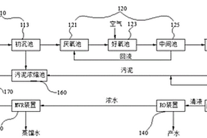 电镀清洗废水的处理方法和处理系统