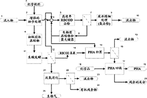 处理城市废水和生产具有生物聚合物生产潜力的生物质的方法