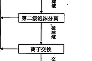 泡沫分离和离子交换耦合回收废水中的硫酸链霉素工艺