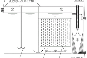 应用于含高氨氮假发废水处理的增强型CFBR工艺