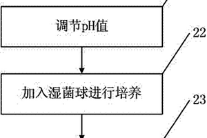 利用黄孢原毛平革菌处理柑橘罐头生产废水的方法